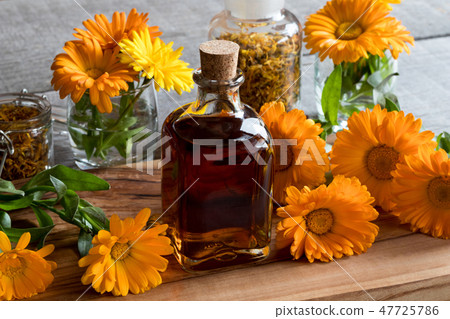 A bottle of calendula tincture and fresh flowers 47725786