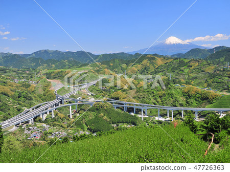 Shinto and Mt. Fuji - 6566 47726363