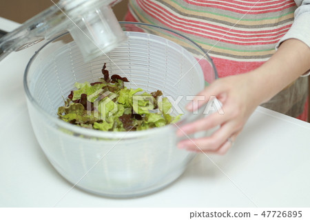 Drainage (salad spinner lettuce mama housewife cooking kitchen kitchen body part no face) Drainage (salad spinner lettuce mama housewife cooking kitchen kitchen body part no face) 47726895