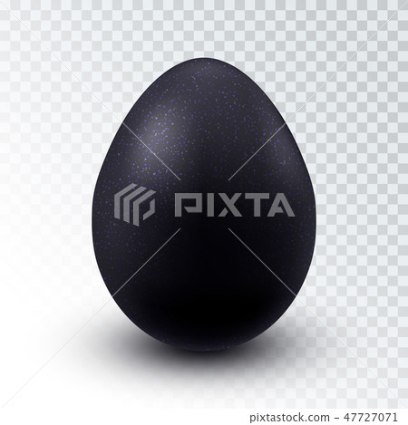 Vector Realistic Black Chicken egg 47727071