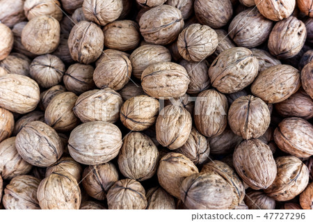 Look at plenty of walnuts in an overhead view 47727296