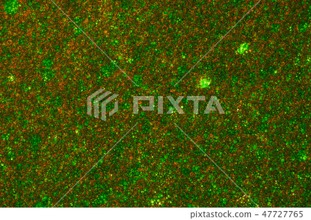 Sponge Foam Texture Macro Background 47727765