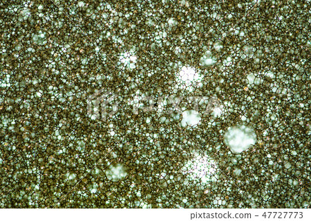 Sponge Foam Texture Macro Background 47727773