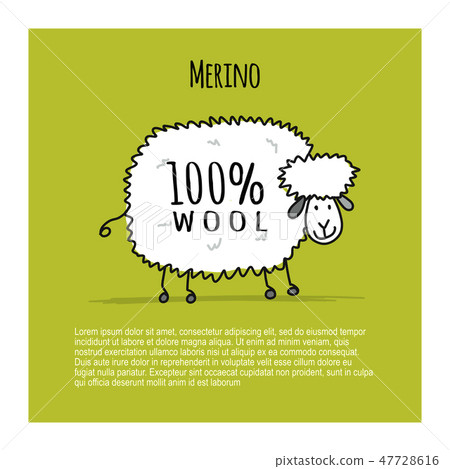 Merino sheep, sketch for your design Merino sheep, sketch for your design 47728616