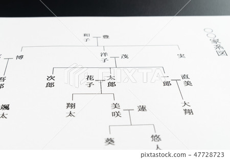 家譜樹血統親屬根 47728723