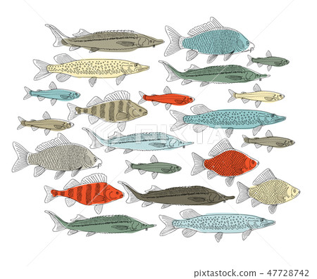Fish collection, sketch for your design 47728742