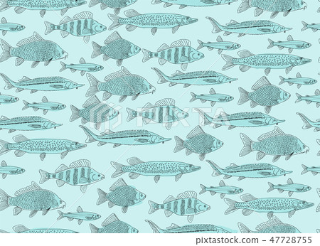 Fish collection, seamless pattern for your design Fish collection, seamless pattern for your design 47728755