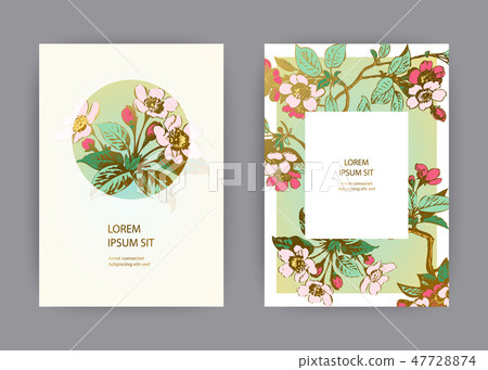 Botanical sakura wedding invitation card design Botanical sakura wedding invitation card design 47728874