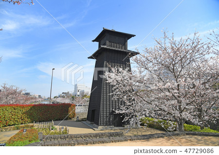 Edogawa-ku, Tokyo Shinkawa Senbonzakura Edogawa-ku, Tokyo Shinkawa Senbonzakura 47729086