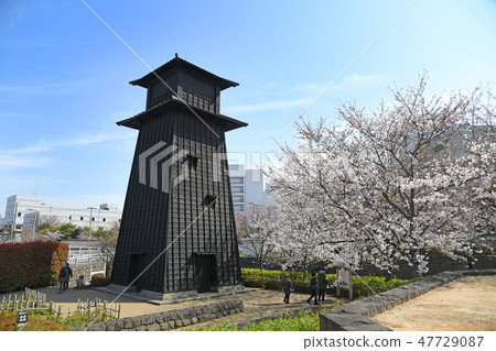 Edogawa-ku, Tokyo Shinkawa Senbonzakura 47729087