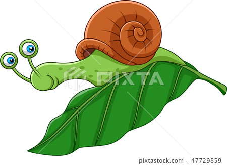 Cartoon funny snail on a leaf 47729859