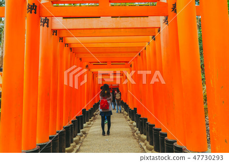 Red torii gates in Fushimi Inari shrine 47730293
