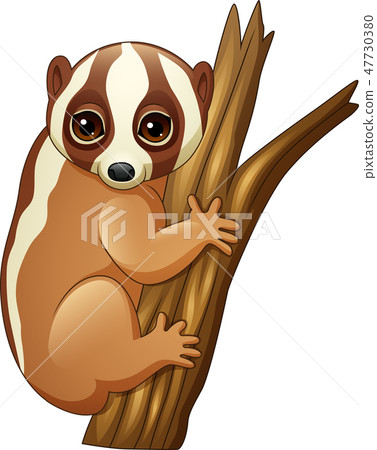 Cartoon slow loris on the branch 47730380
