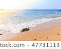 wave hitting small stone at the beach 47731113