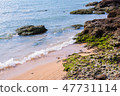 stone beach with green mos 47731114