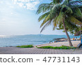 beach with big coconut tree 47731143