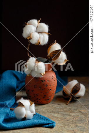 Cotton branches and vase 47732144