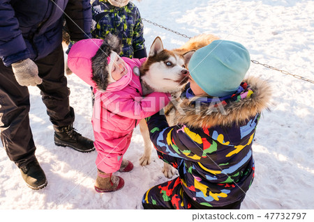 Little girl with husky. Cute baby with dog Little girl with husky. Cute baby with dog 47732797