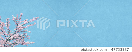 Japanese style background material - Texture of Japanese paper - Cherry blossoms - Soy Yoshino - blue sky 47733587