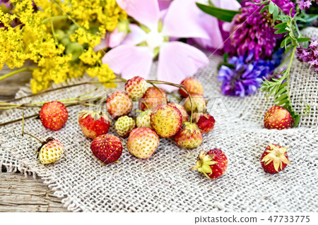 Strawberries with flowers on burlap Strawberries with flowers on burlap 47733775