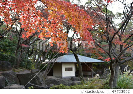 江戶川區平成花園 江戶川區平成花園 47733962