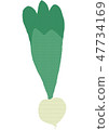 蘿蔔1 47734169