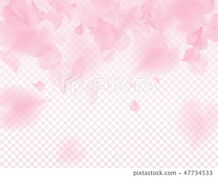 Pink sakura petals transparent background Pink sakura petals transparent background 47734533
