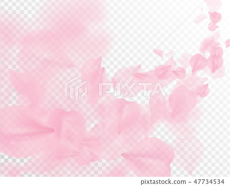 Sakura petal flying vector background. Pink flower 47734534