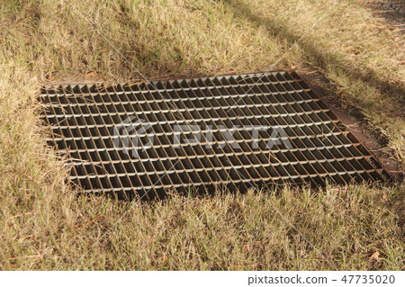 Drain 47735020