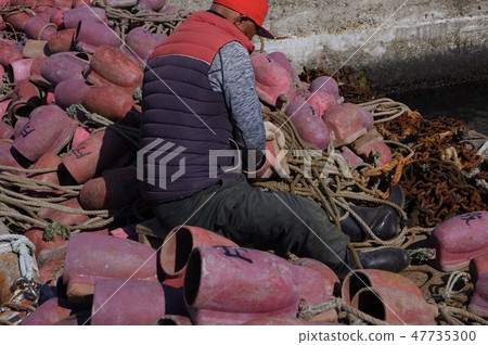 Akashi octopus 47735300