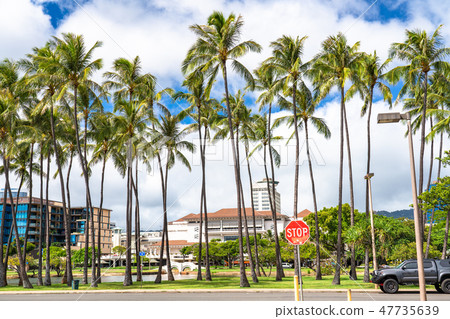 "Hawaii" Palm trees in Ala Moana Park · Oahu Island "Hawaii" Palm trees in Ala Moana Park · Oahu Island 47735639