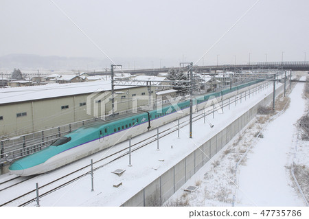 北海道八丁河站冬季新幹線H5系列（單人） 47735786