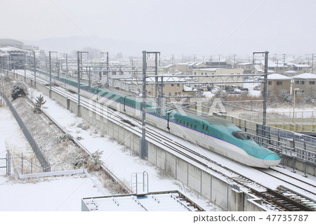 北海道八丁河站冬季新幹線H5系列（單人） 47735787