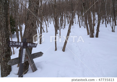Mt. Hakusan mountain Tateshina mountain in Nagano near Suzuran Pass mountain trail 47735813