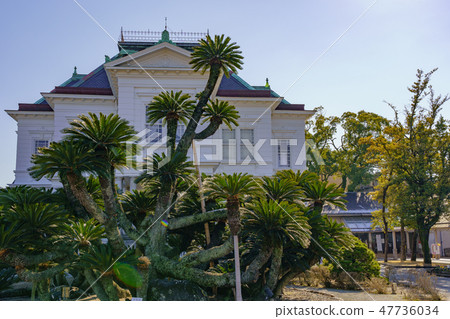 Tachibana residence Flower 47736034