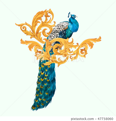 Watercolor peacock vector composition Watercolor peacock vector composition 47738060