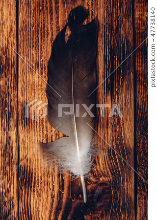 Hawk feather over wooden table Hawk feather over wooden table 47738140