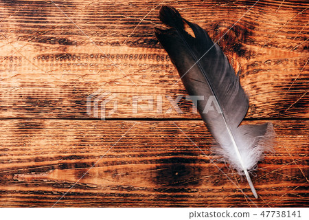 Hawk feather over wooden table 47738141