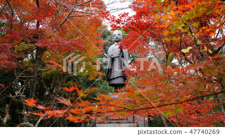 油山寺廟秋葉 47740269