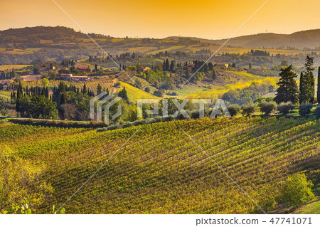 tuscany landscape with vineyards, Italy 47741071