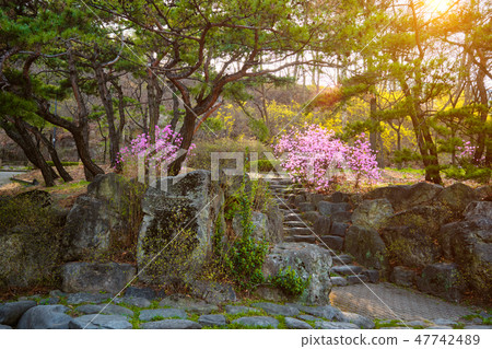 Park in Asia on sunset Park in Asia on sunset 47742489