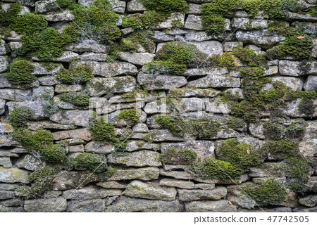 British British stone moss traditional wall texture British British stone moss traditional wall texture 47742505