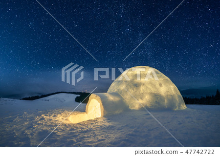Wintry scene with snowy trees 47742722