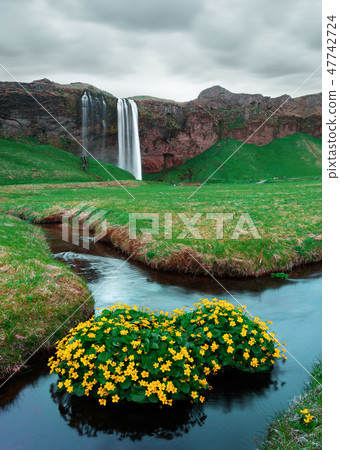 Sunrise on Seljalandfoss waterfall 47742724