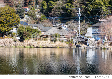 Scenery of Yufuin gold scale lake 47743254
