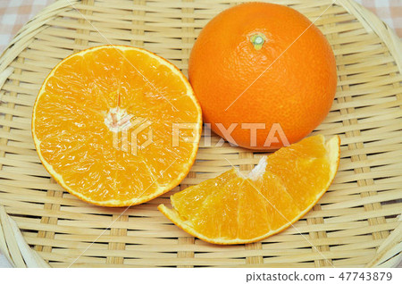 Red Madness 47743879