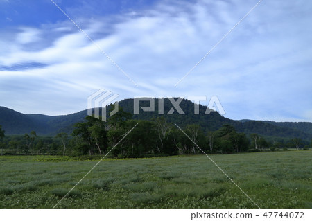 Scenery of Ozegahara early in the early summer Scenery of Ozegahara early in the early summer 47744072