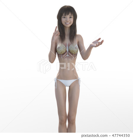 Female dissection muscle 3DCG illustration material 47744350