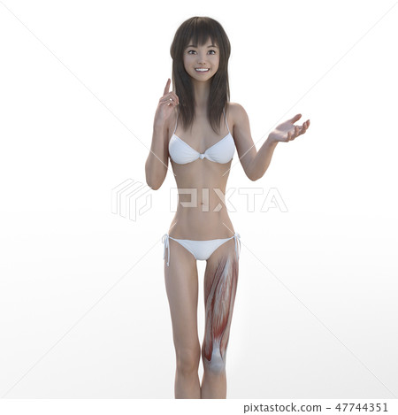 女性解剖肌肉3DCG例證材料 女性解剖肌肉3DCG例證材料 47744351