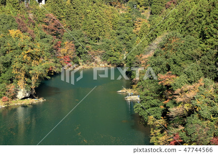 Landscape from the Omaga gorge bridge in late autumn (Great Tama Walking Trail) Landscape from the Omaga gorge bridge in late autumn (Great Tama Walking Trail) 47744566